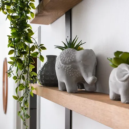 Ariel 3 Bed * 拉纳卡